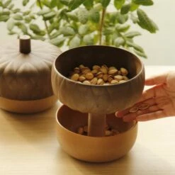 Snack Bowl En Forme De Gland